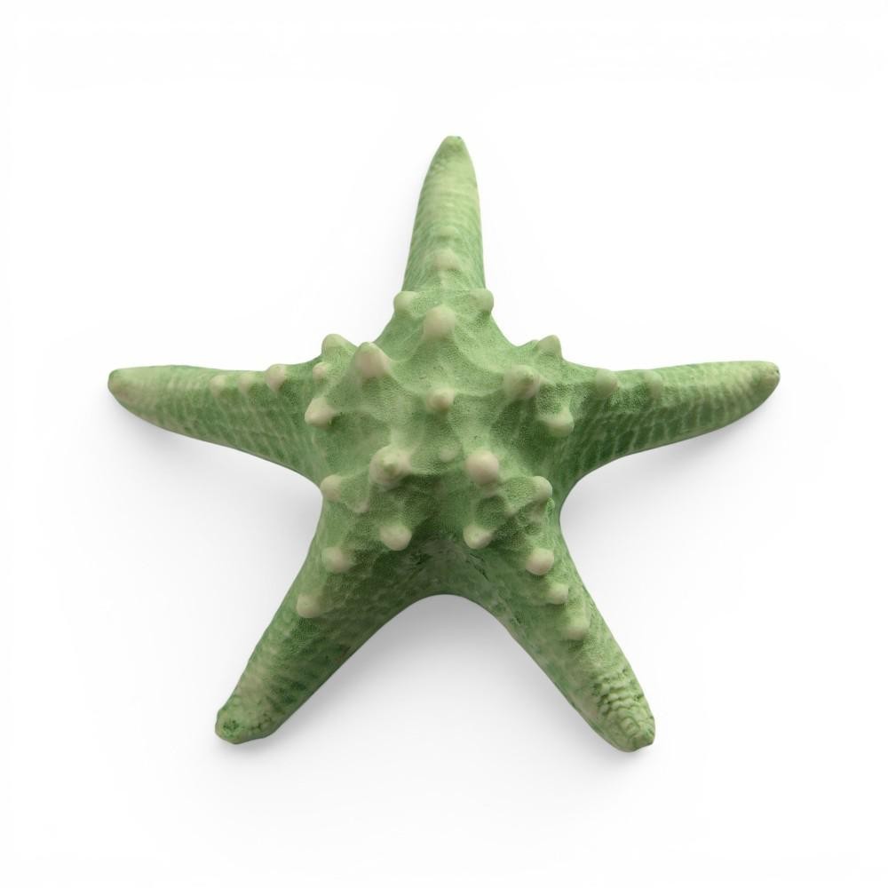 STELLA MARINA 16X16X4CM GREEN